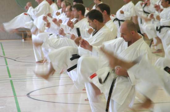 Kihon - Training der Basistechniken