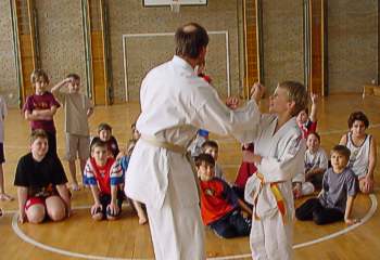 Karate-Technik vorgefhrt von Justus & Jrgen