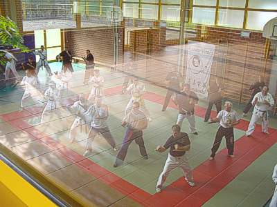 KATA-Training: "Matsuhiga-No-Tonfa", "Chatanyara-No-Tonfa", "Hama-Higa-No-Tonfa"
